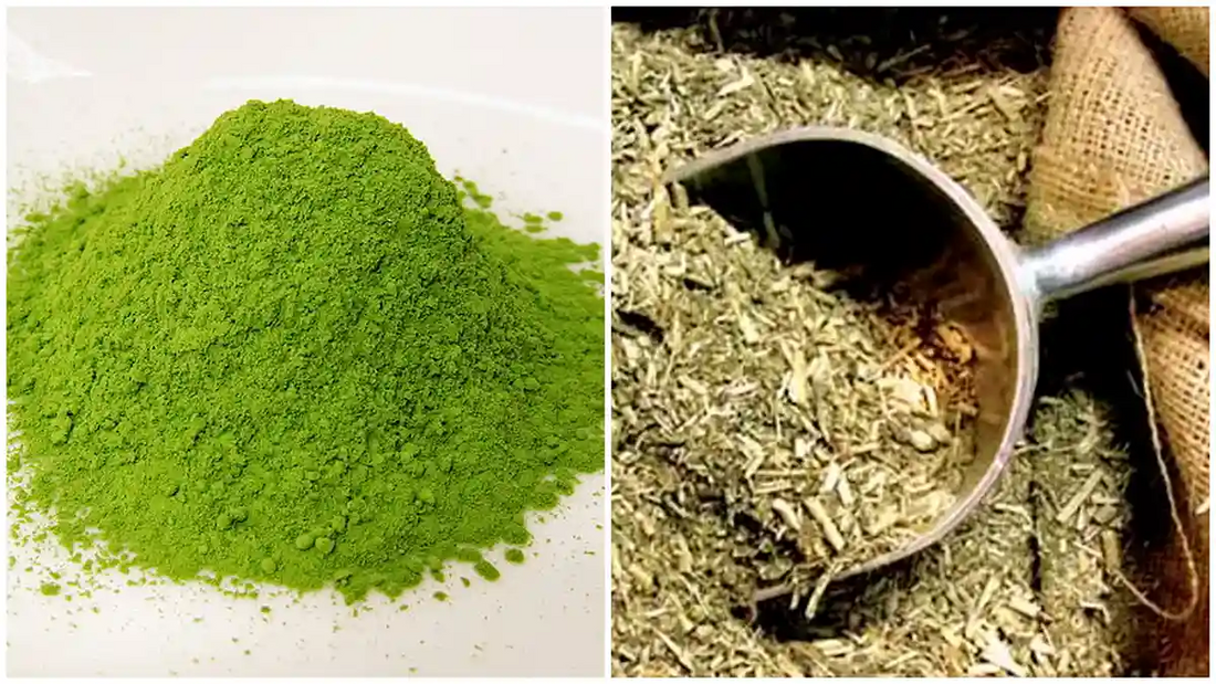 A la izquierda imagen de polvo de matcha y a la derecha imagen de yerba mate