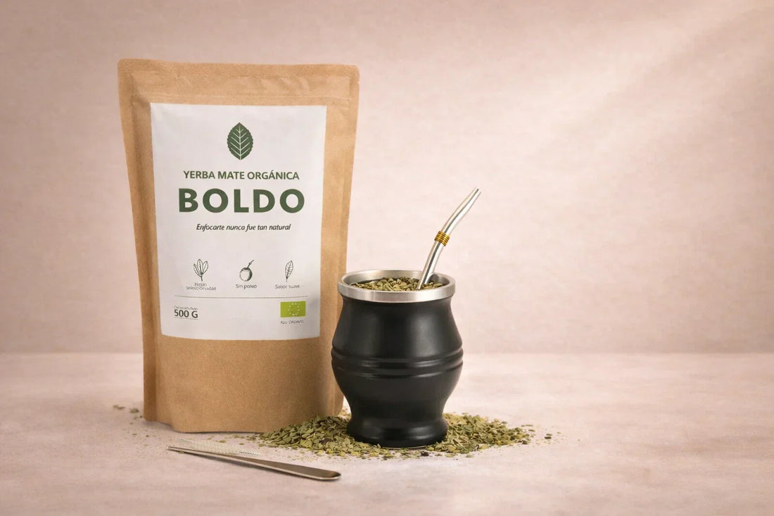7 Beneficios Reales de la Yerba Mate