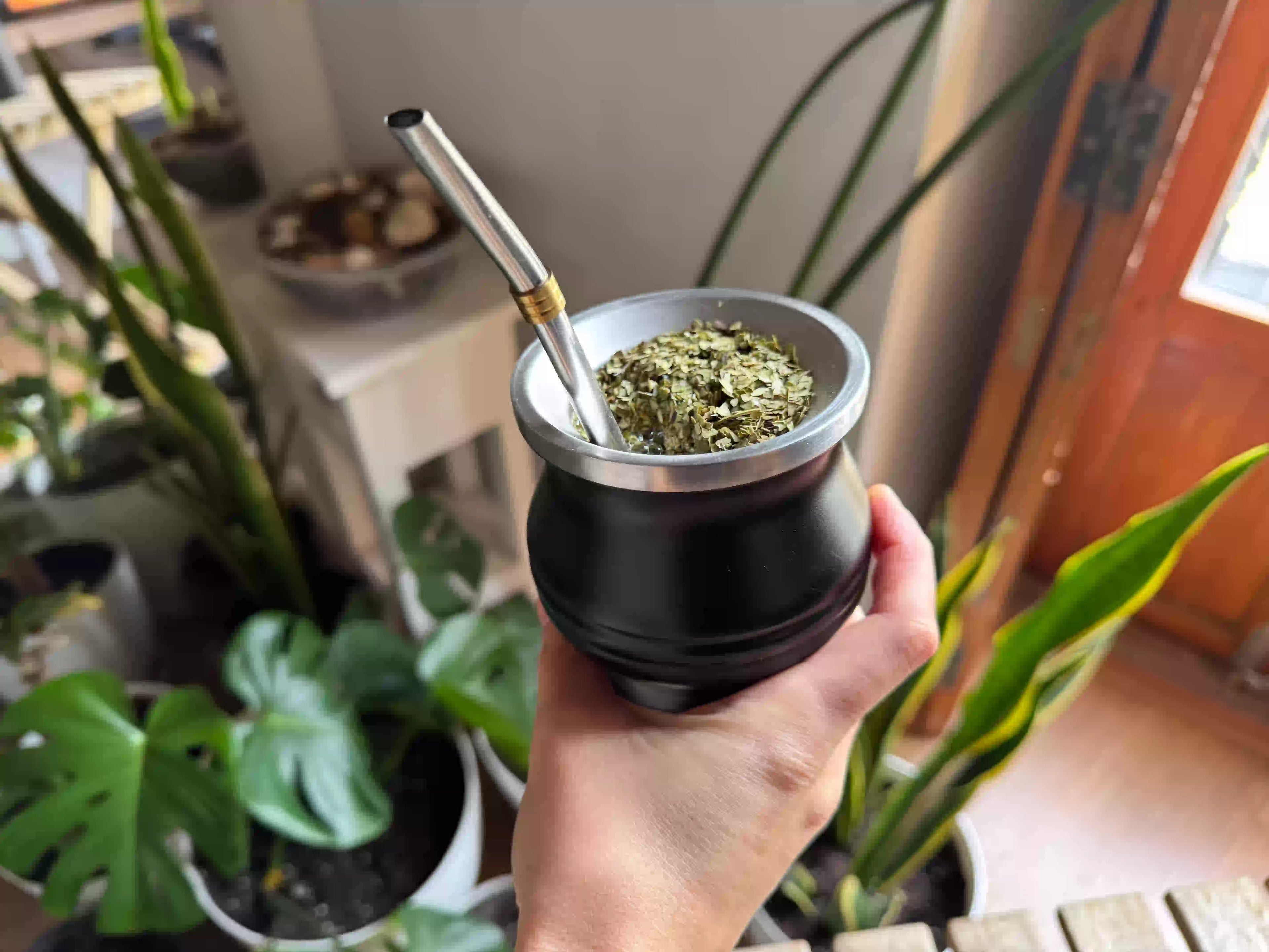 Mate de acero inoxidable con fondo de plantas