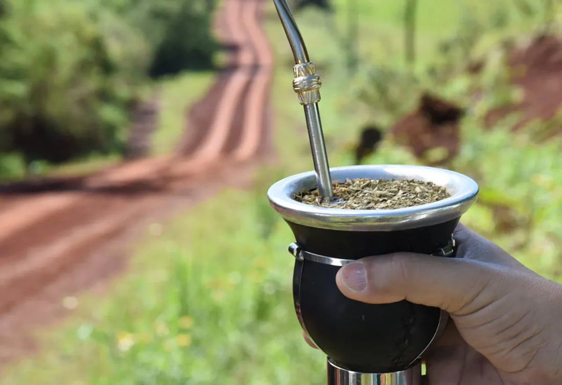 Persona sosteniendo un mate en un campo