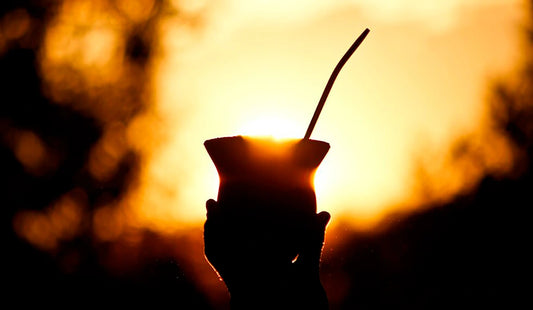 Persona sosteniendo un mate preparado en el atardecer