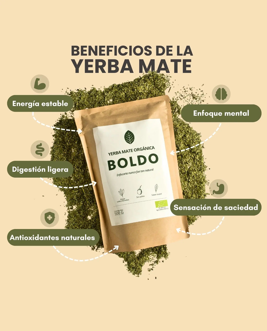 Yerba Mate Orgánica