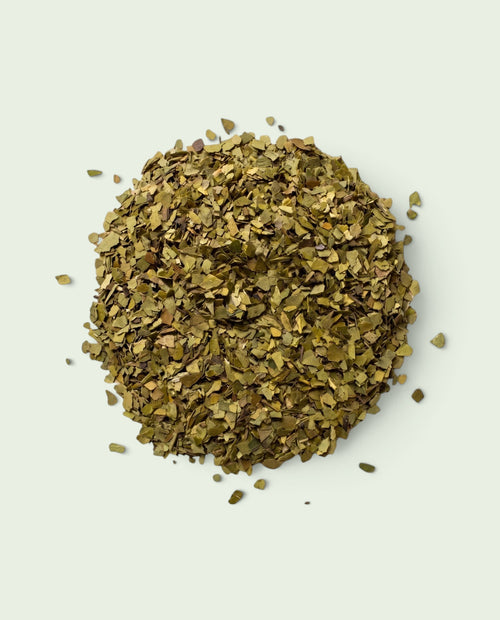 Montón de hojas secas de Yerba Mate Boldo con textura natural y color verde oliva sobre fondo claro