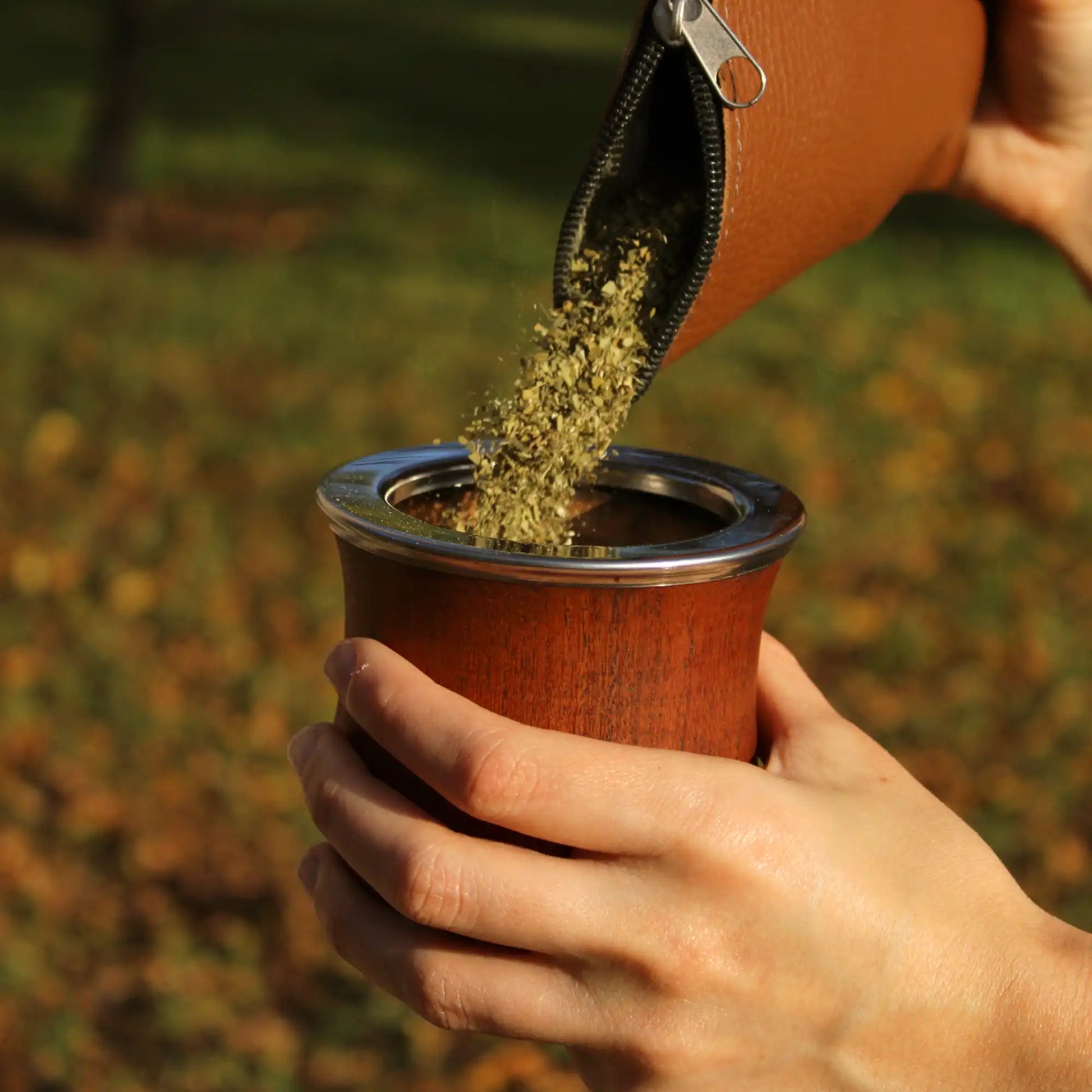 mate argentino y yerba mate